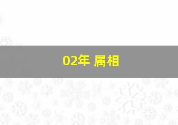 02年 属相